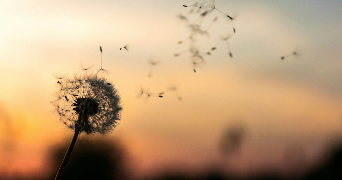 Your Healing Journey Starts Here: Why Our Support Makes All the Difference